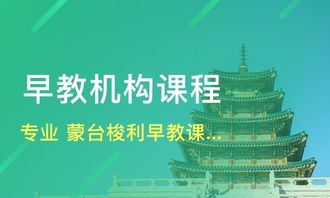 天津早期教育機構(gòu)概覽 喜童、新愛嬰與淘學(xué)培訓(xùn)淺析